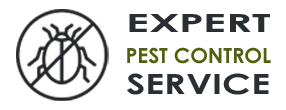 Emergency Exterminator Company  Boca Raton FL